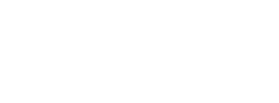 DNZ logo subtext white